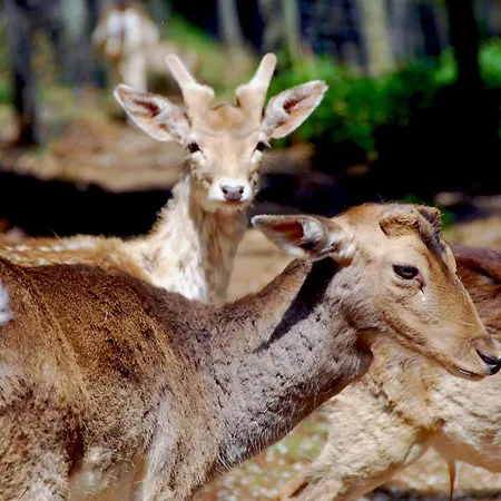 Tierra Boutique, Tierra Y Tierra Valles Biescas (Aragon)